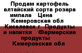 Продам картофель алтайский,сорта:розара,импала › Цена ­ 110 - Кемеровская обл., Киселевск г. Продукты и напитки » Фермерские продукты   . Кемеровская обл.